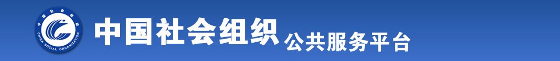 野战日b全国社会组织信息查询